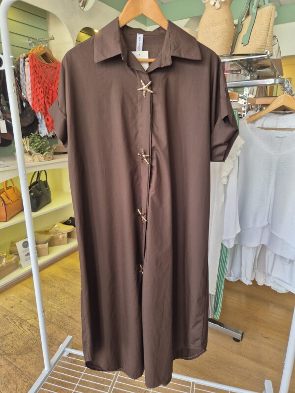 Brown Star Buttons Shirt Dress