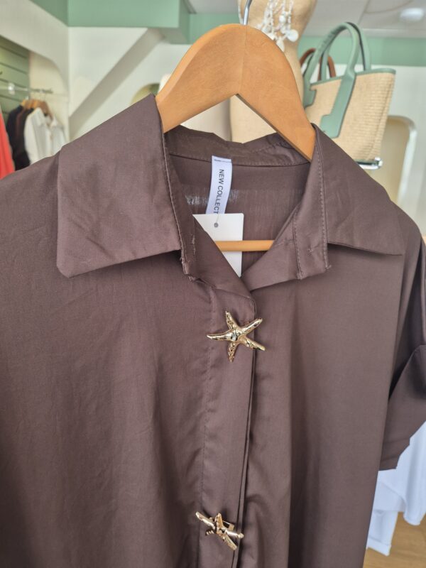 Brown Star Buttons Shirt Dress