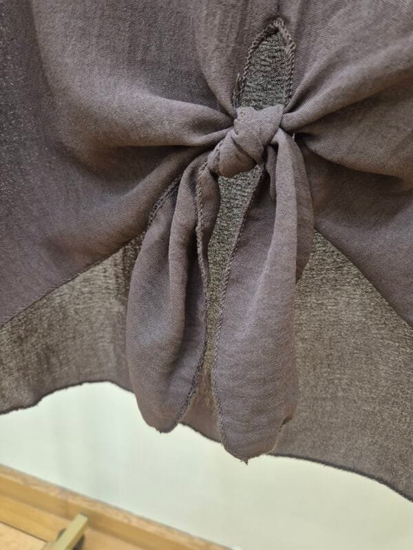 Brown Tie-up V-Neck Top