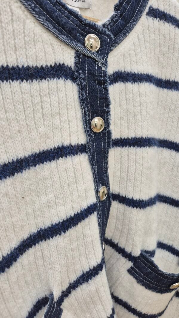 2026/01/1000391352-1-scaled.jpg Denim Trim Striped Knit Cardigan