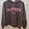 2026/01/1000391382-scaled.jpg 'California ' Brown Soft Touch Hoodie