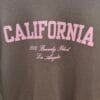 2026/01/1000391384-scaled.jpg 'California ' Brown Soft Touch Hoodie