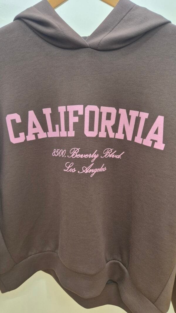 2026/01/1000391384-scaled.jpg 'California ' Brown Soft Touch Hoodie