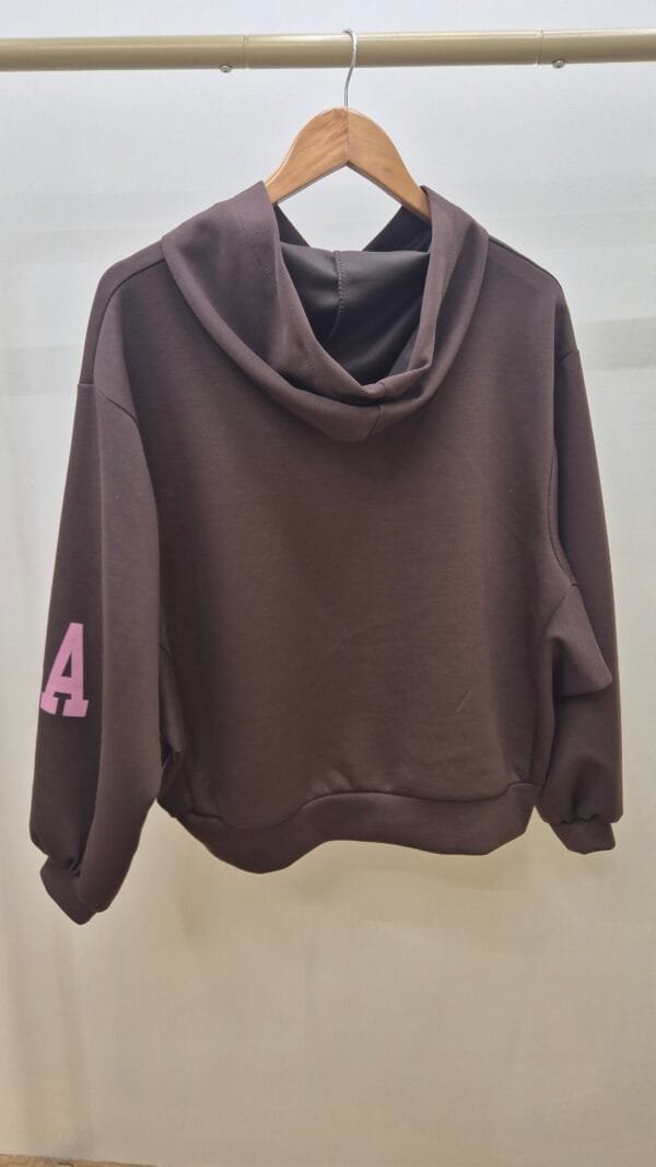 2026/01/1000391386-scaled.jpg 'California ' Brown Soft Touch Hoodie