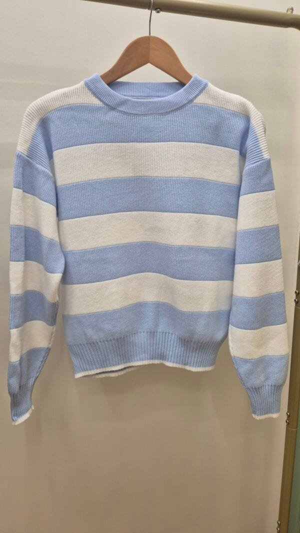 2026/01/1000391479-scaled.jpg Sky Blue Crew Neck Striped Jumper