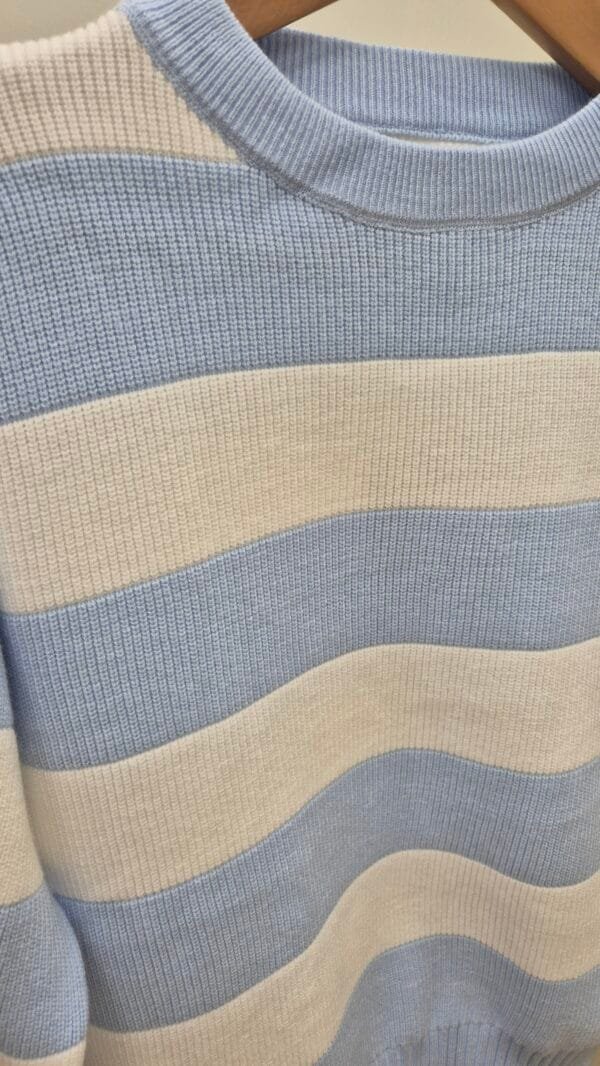2026/01/1000391480-scaled.jpg Sky Blue Crew Neck Striped Jumper