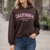 2026/01/1000391638.png 'California ' Brown Soft Touch Hoodie