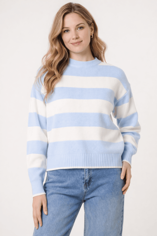 2026/01/1000392827.png Sky Blue Crew Neck Striped Jumper