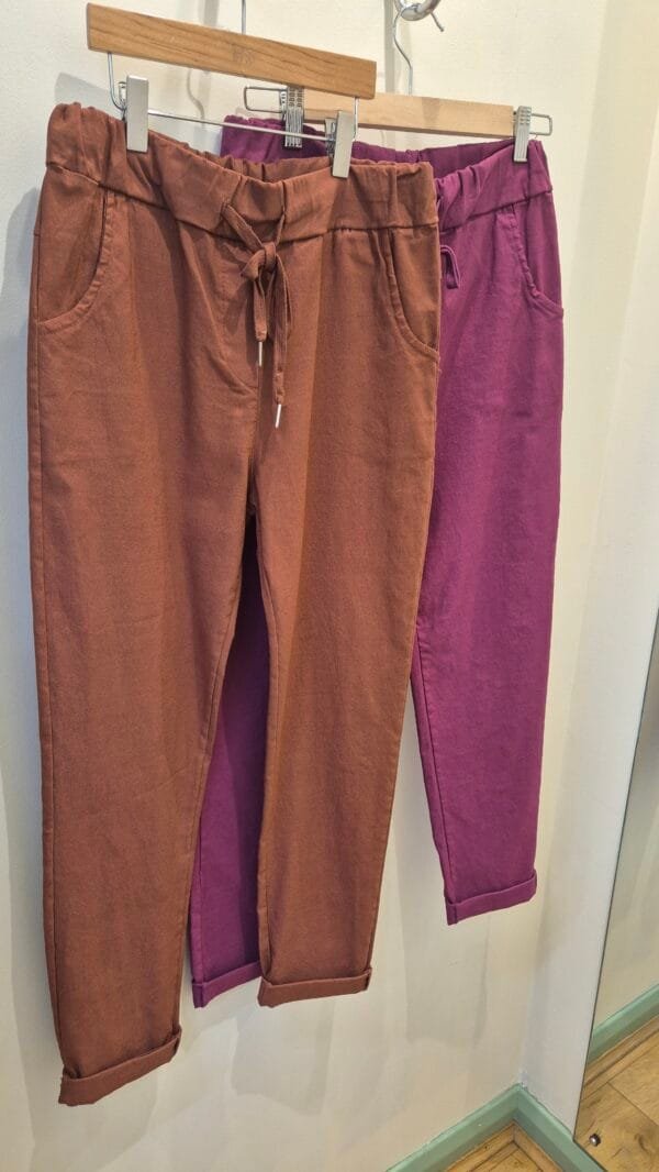 2026/02/JPEG_20260205_161152_2990582538572584740-scaled.jpg Stretchy Magic Trousers -One Size ( Various Colours)