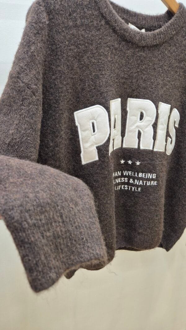 2026/02/JPEG_20260213_142112_5670020863681030291-scaled.jpg Brown Paris Wool Blend Jumper