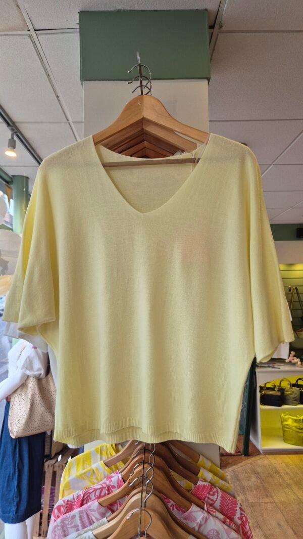Lightweight V-Neck Knit