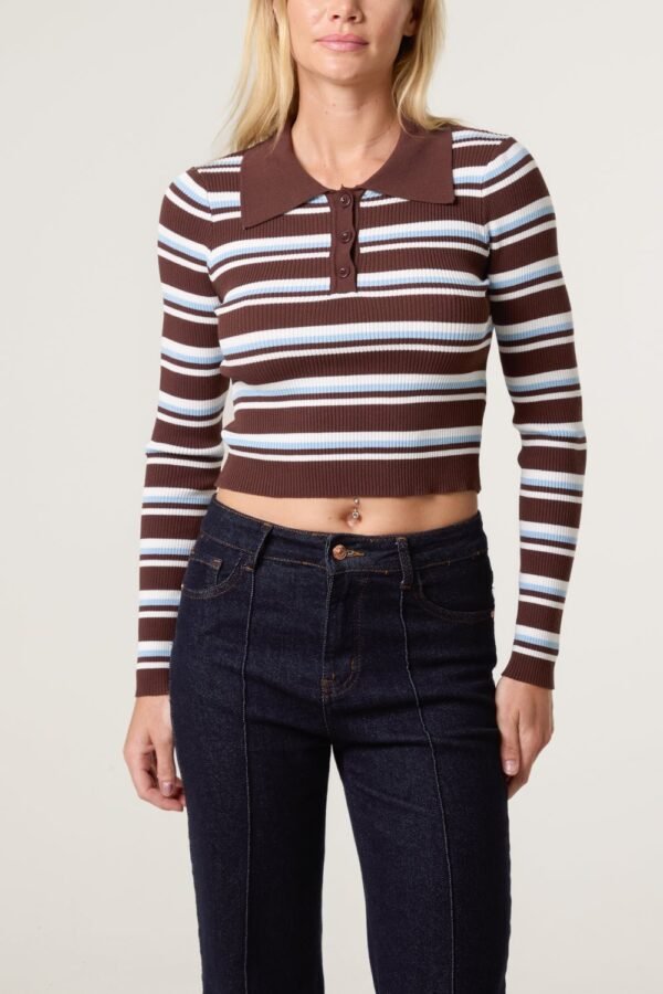 Striped Fine Gauge Collared Knit Jumper