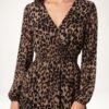 Leopard Print V-Neck Midi Dress 🐆